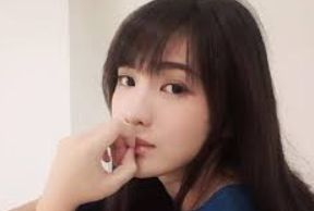 精选呈现套件